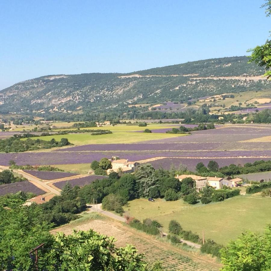 La Maison D'Alice Sault-de-Vaucluse Εξωτερικό φωτογραφία
